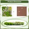 Costway 2 Pack 20" x 20" 3D Hanging Succulents Square Framed Artificial Foliage Wall Art